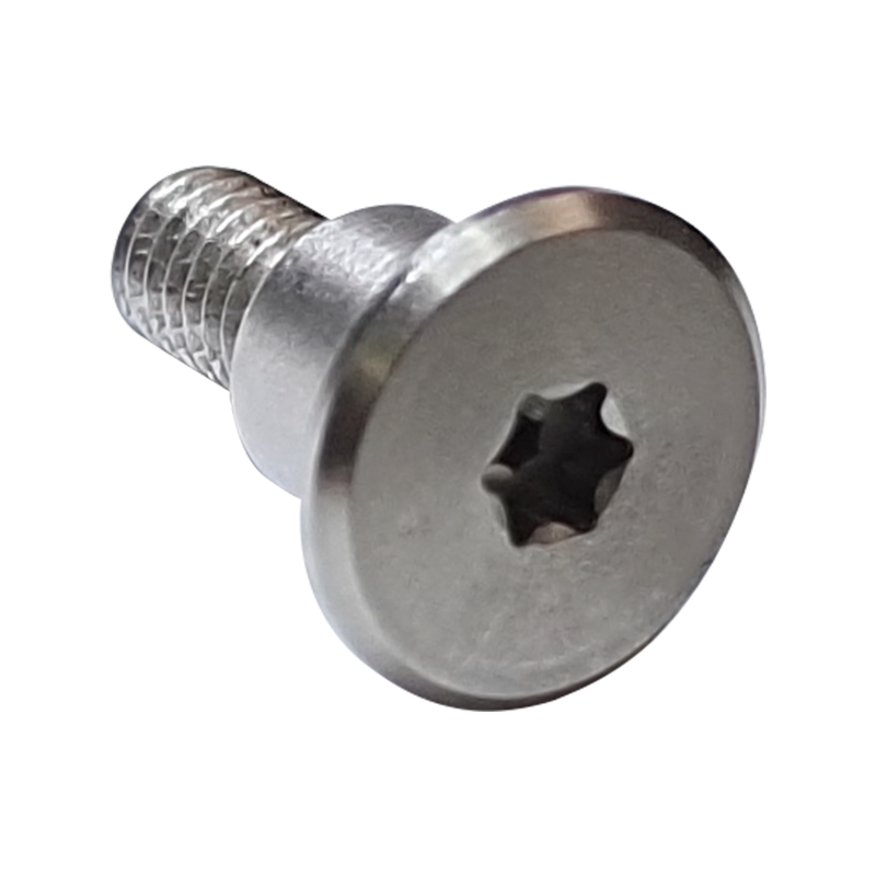 Torx screw