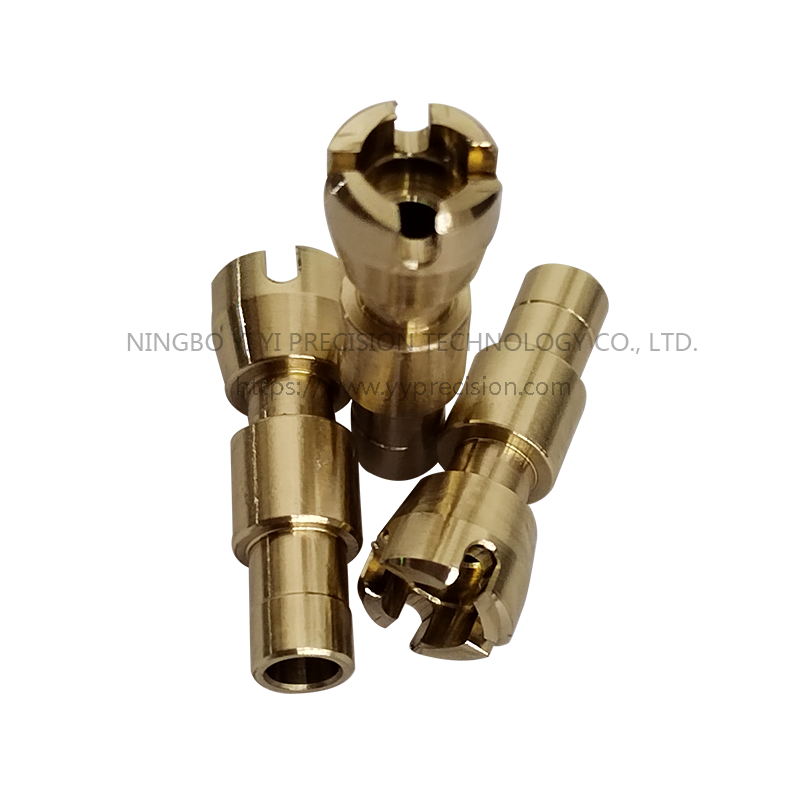 Tooth Axonemal Rods