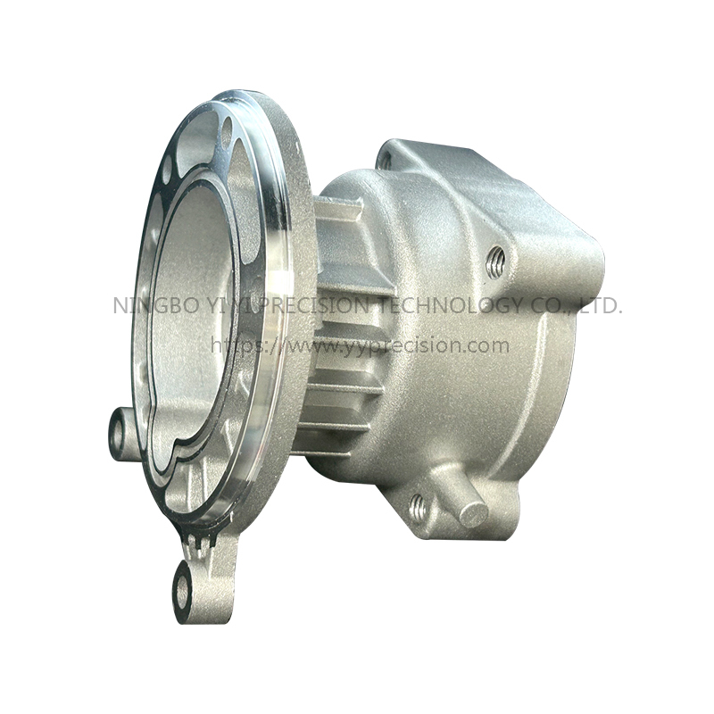 Processing of cast aluminum parts/aluminum alloy die-casting/gravity cast aluminum parts ball/flange bottom valve water pump/suction pump aluminum pump